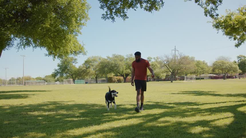 An owner and a dog play catch in a park