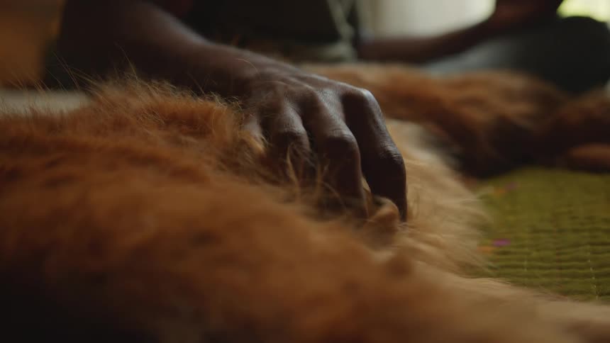 A man is petting his dog