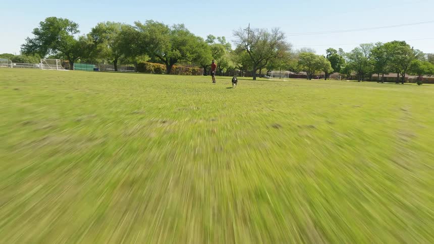 A man is playing fetch with his dog