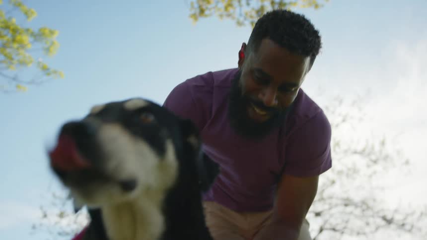 A man is happy while stroking a black dog with a red cloth