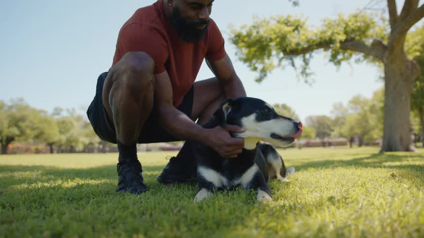 A man is petting his dog in the park