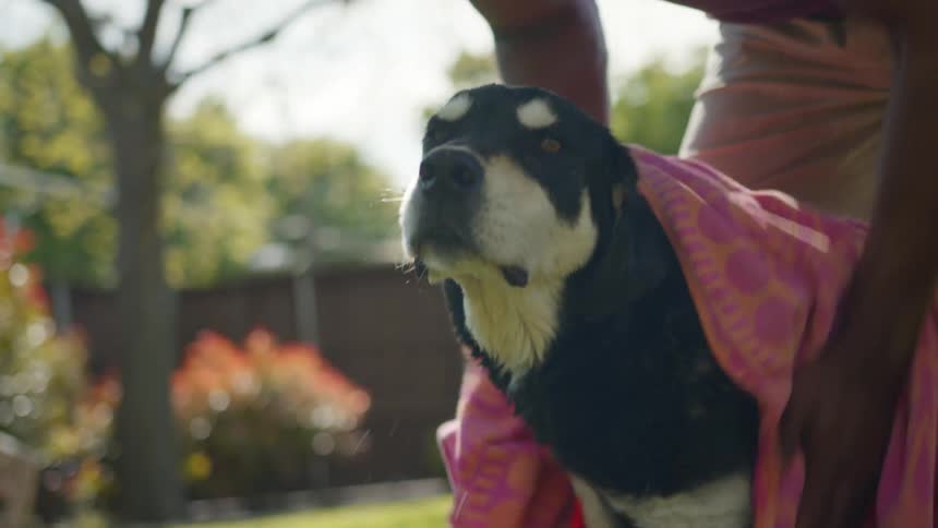 Man in the backyard drying his dogs body