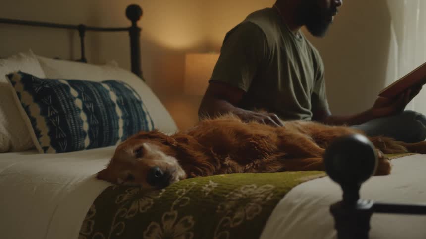 A dog rests while its owner reads a book in bed