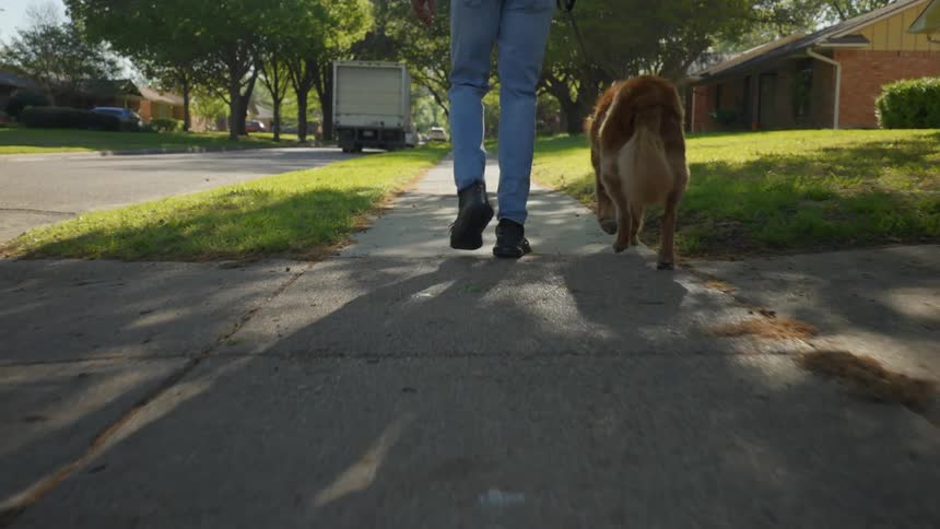 A man is walking his dog