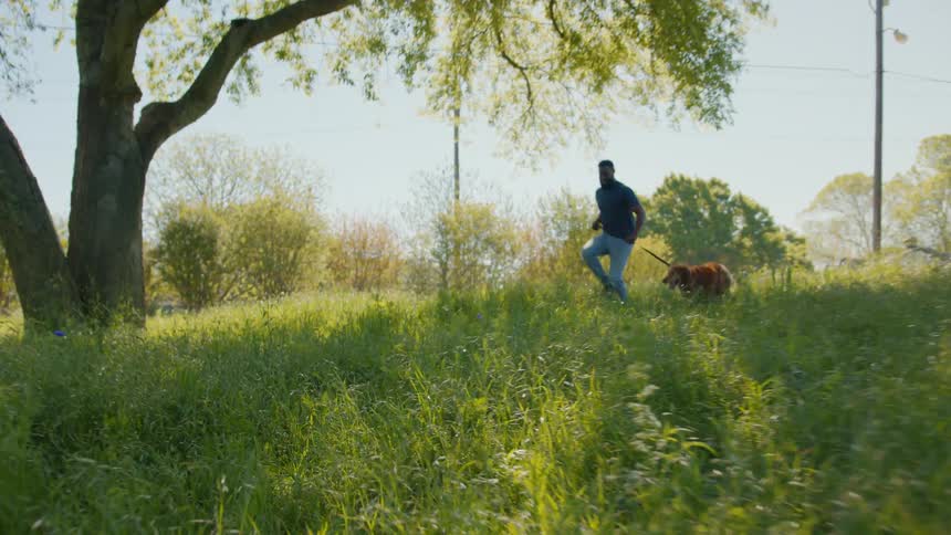 A man and his dog run through a weedy field