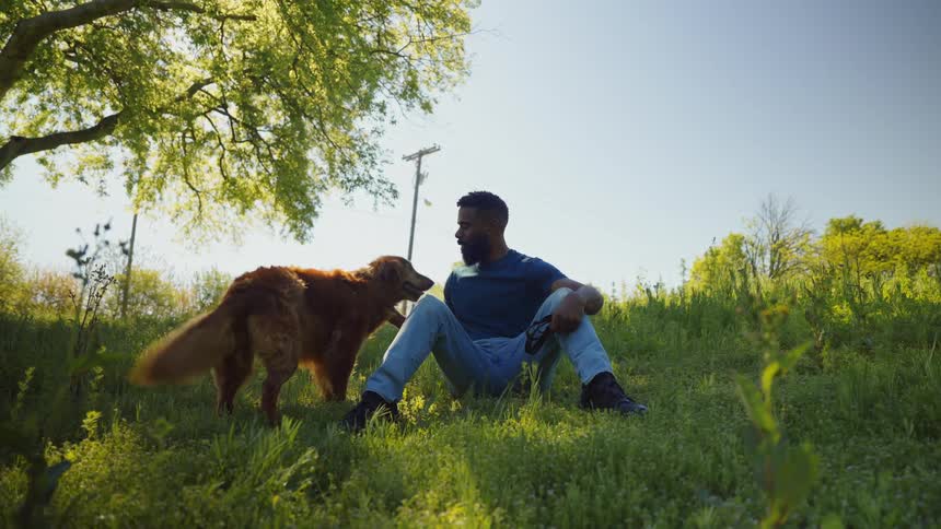A black man sits in a meadow while petting his golden retriever on a sunny summer day