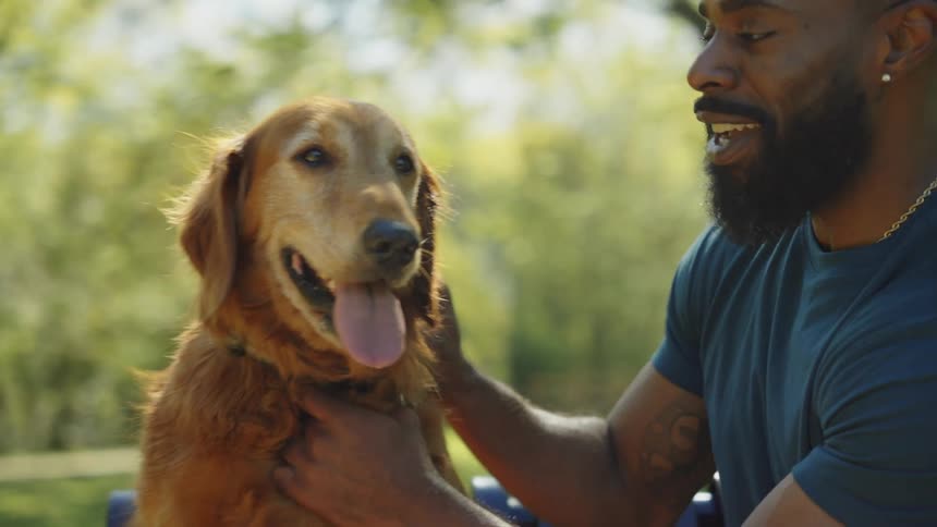 Dog sitting on a bench in an outdoor park next to his owner who is massaging his body
