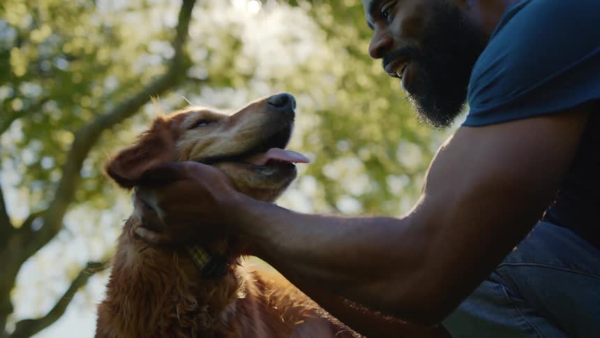 Man petting his golden retriever on the neck while they are in an outdoor park