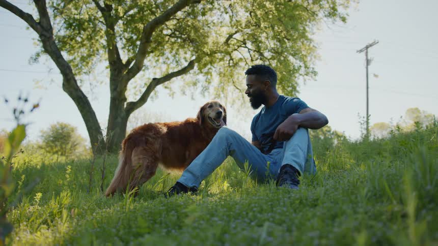 An owner pets his dog on a grassy area
