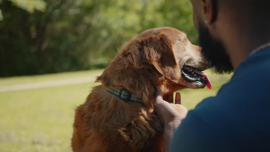 An owner pets his dog in a park