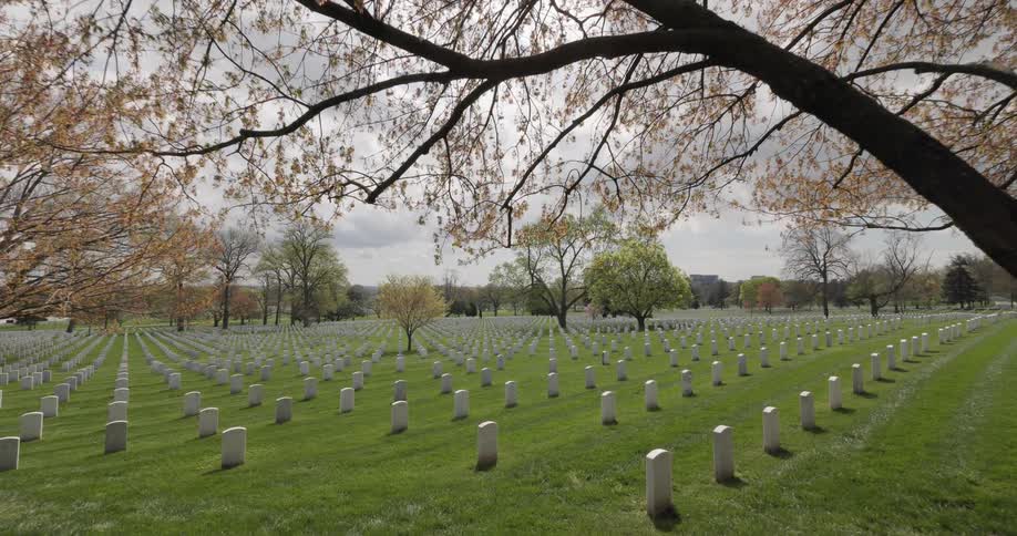 The cemetery has many rows of graves