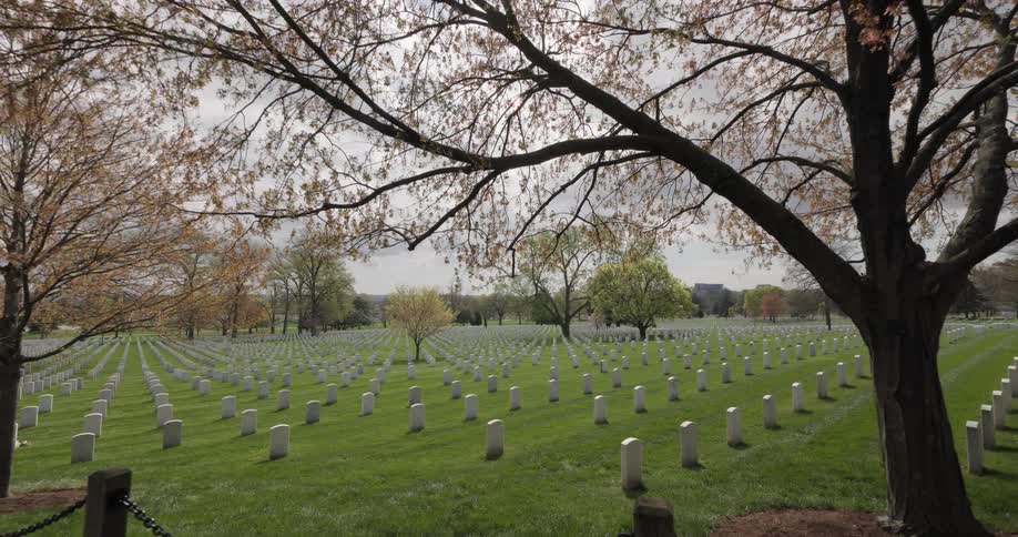 A large cemetery surrounded by trees