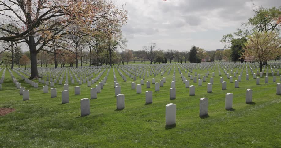 A large cemetery with rows of tombstones