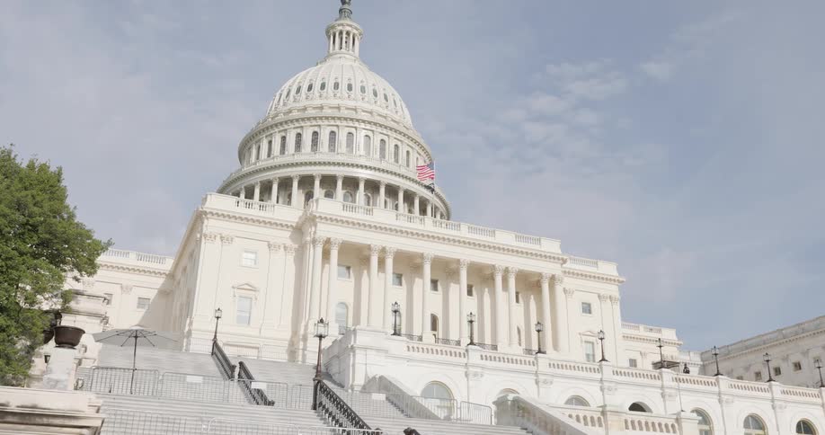 Flags fly in front of the us capitol building