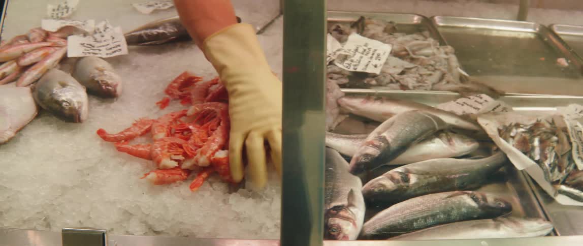 Person hand with a glove arranging fresh shrimp on top of ice in fish market