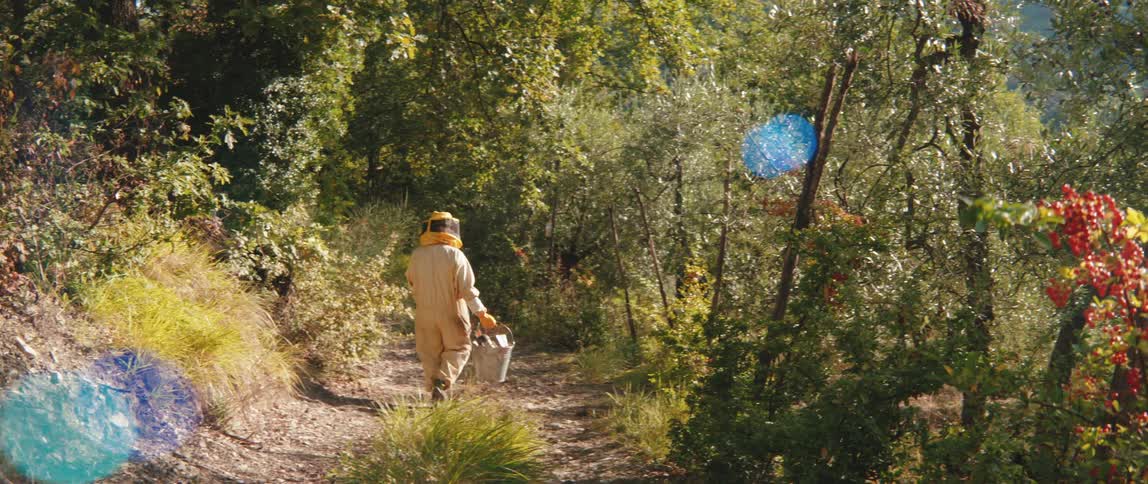 Beekeeper walking on a forest trail carrying a bucket
