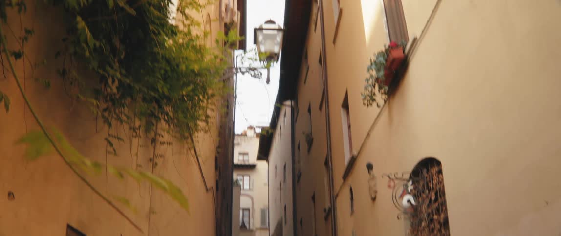 Suburban alley with pedestrian walk