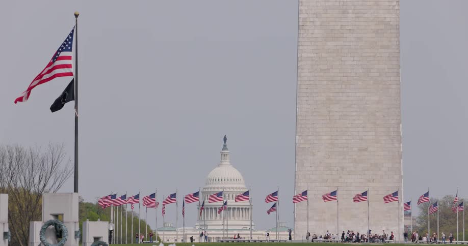 People walking at the monument in front of the washington capitol during the day