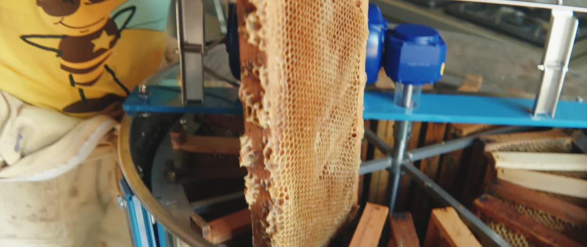 A beekeeper places honeycombs inside a spinning honey extractor