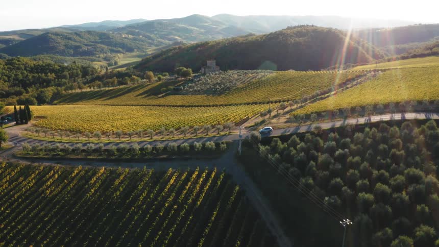 Aerial panorama of a car traveling along a road surrounded by vineyards with sun flare on the horizon in Tuscany