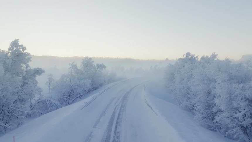 Aerial view of a road with trees on both sides all covered in snow