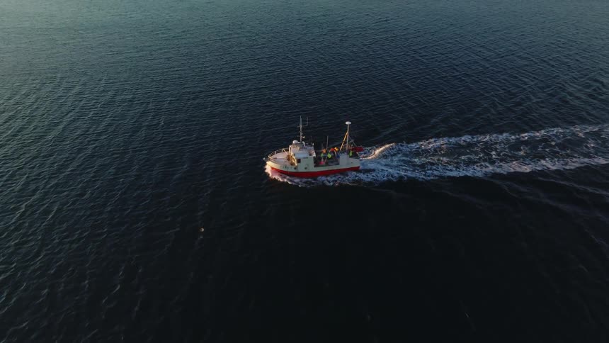 A boat is traveling in the water