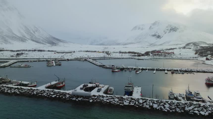 Aerial view of the harbor covered in snow with boats docked