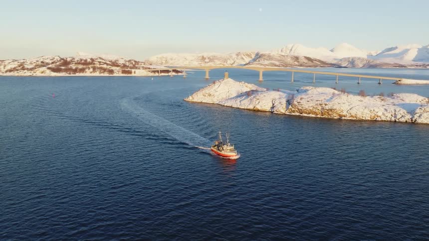 Boat near an island with a background bridge