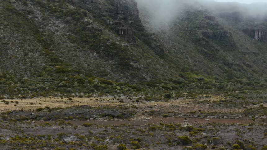 Landscape of lava fields stretch on a foggy day