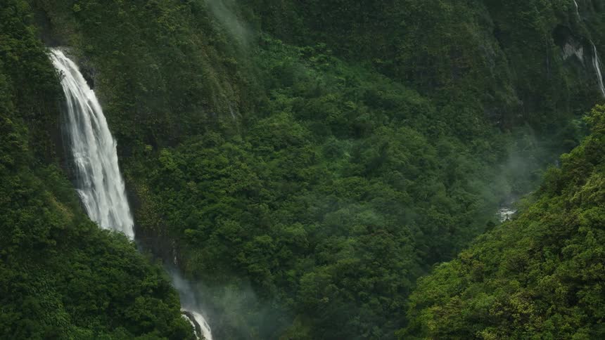 A forest of trees with some small waterfalls coming out of the mountains
