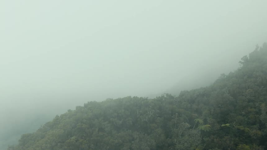 A heavy fog hangs over a mountain covered in forests