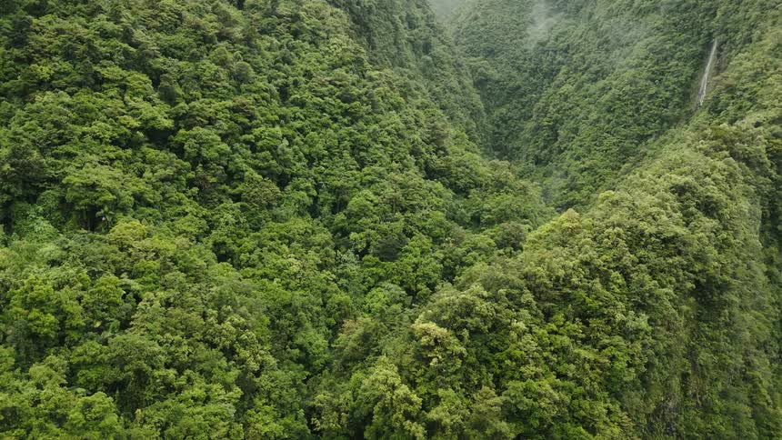 An aerial view of a valley between hills with a lot of forest trees with very green leaves