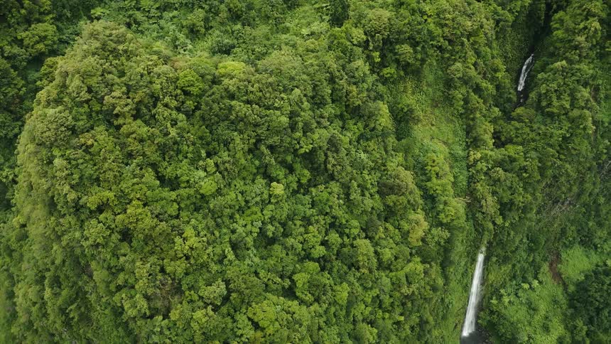 Aerial scenery of a forested mountain with a waterfall
