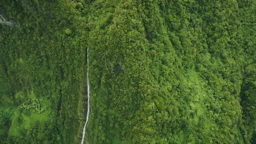 A large hill of very green vegetation with a small waterfall