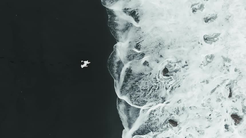 Aerial of a woman walking toward the ocean while wearing a white dress