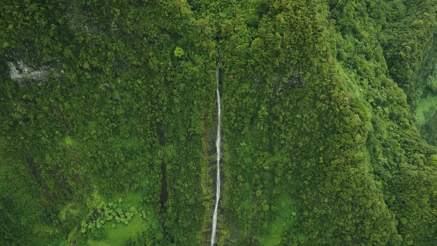 Aerial view of a mountain flanked by forests and an extensive waterfall with freefalling waters