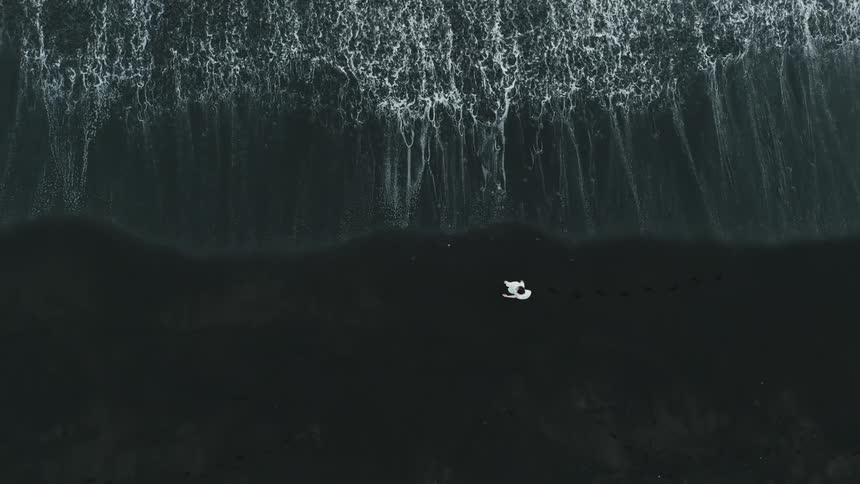 A person walking on the dark sand of a beach that has small waves with white foam