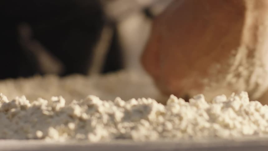 Person hand making a hole and putting flour dough around it
