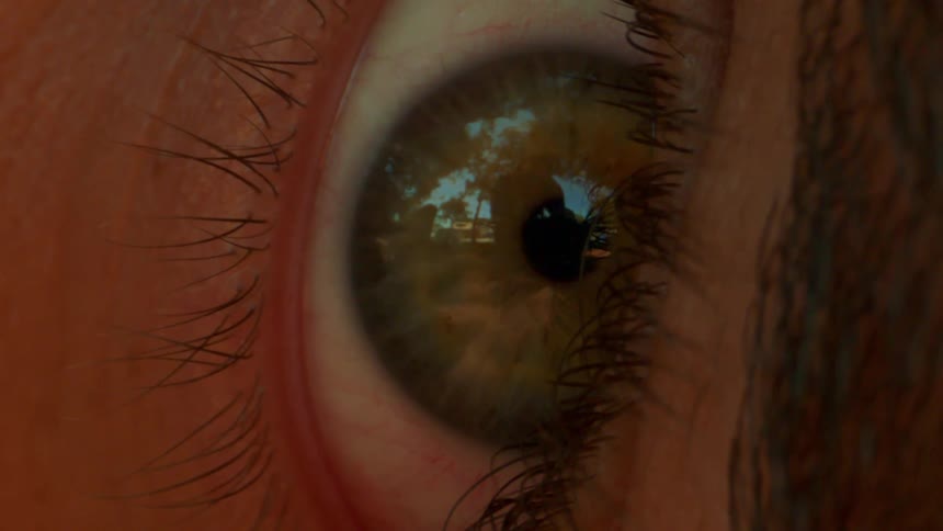 Closeup of a human eye with a brown iris