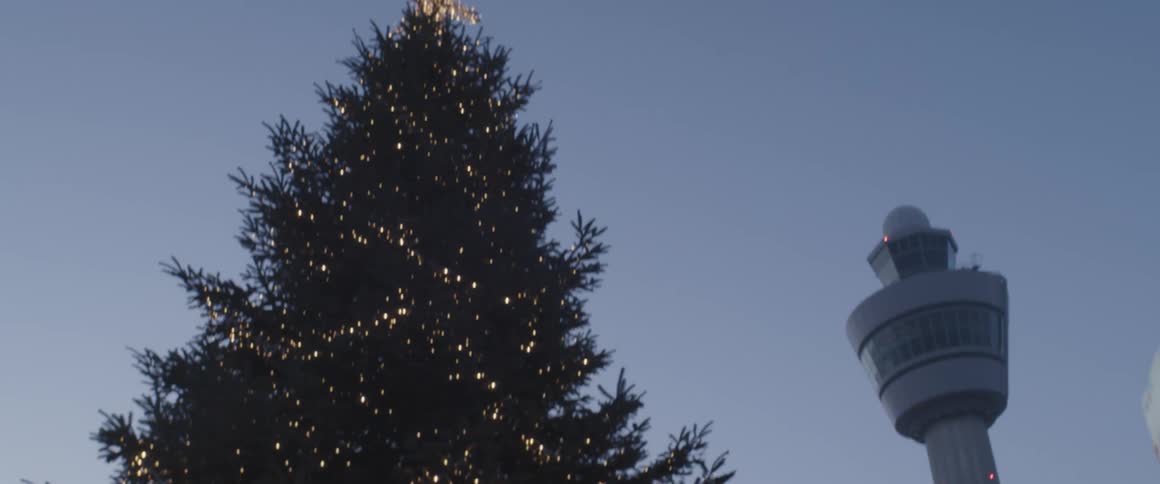 A large christmas tree has flashing lights