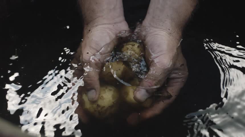 Hands are washing potatoes in a basin of water