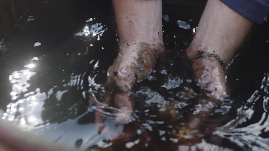 Hands of a man putting washing dirty potatoes in a bucket with water