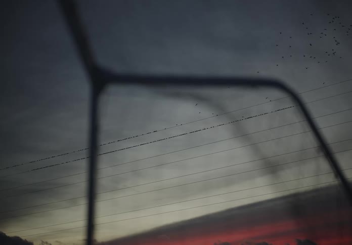 View of a grayish and reddish sky with birds moving amidst power transmission wires
