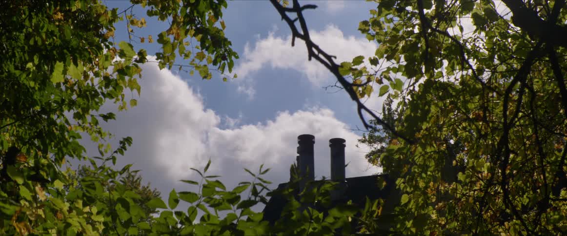 Pair of large chimneys sit on roof of building bordering grove on a cloudy day
