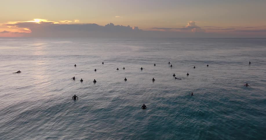 A group of surfers bobbing in an ocean tide