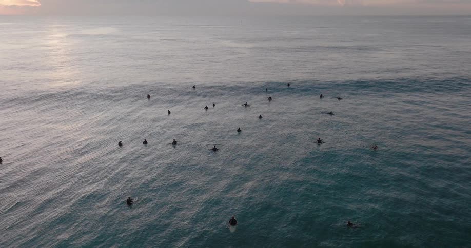 Surfers in the sea in a morning