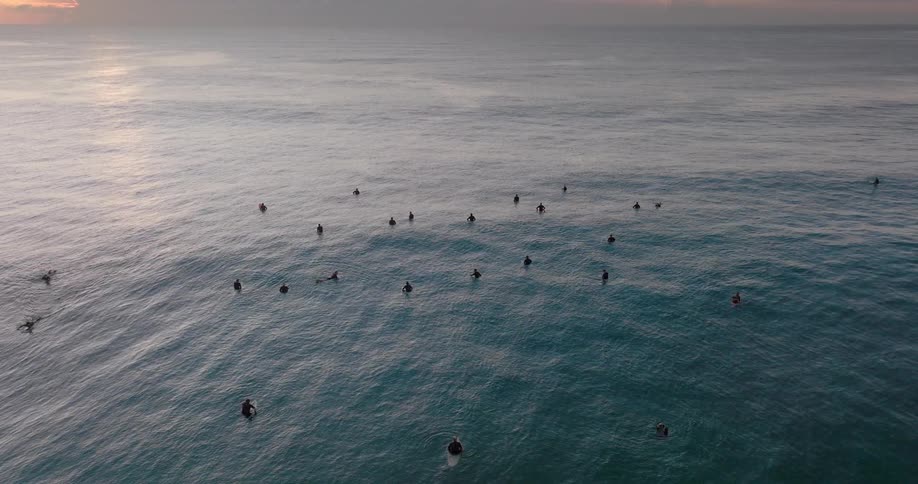 A large number of surfers bob up and down in the ocean