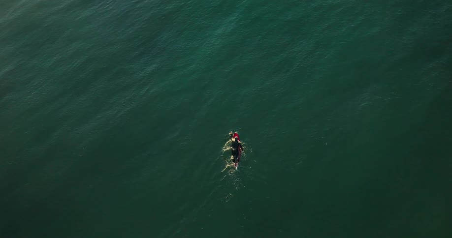 A person on a surfboard is paddling on a calm sea