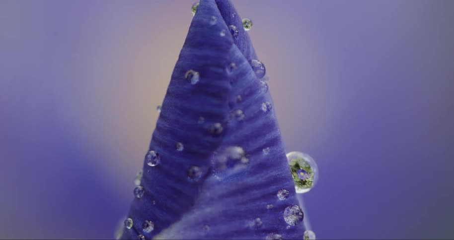 A triangular blue object with droplets on it