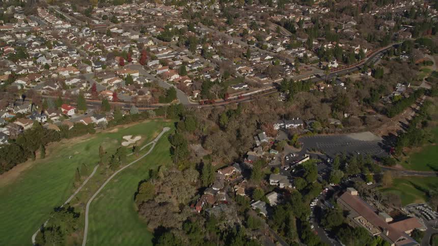 Aerial scene of a suburban and treelined city